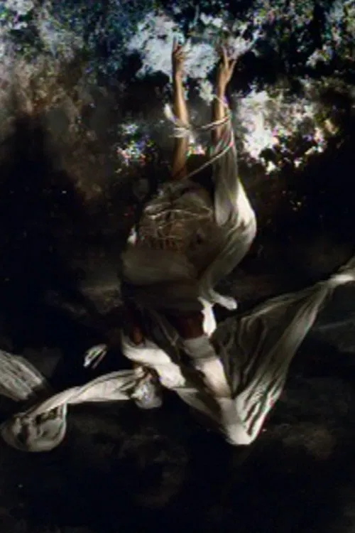 Poster do filme La festa delle rose