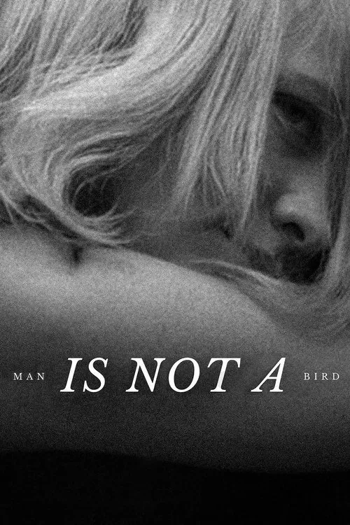 Man Is Not a Bird movie poster
