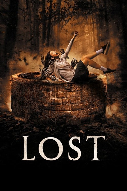 Lost movie poster