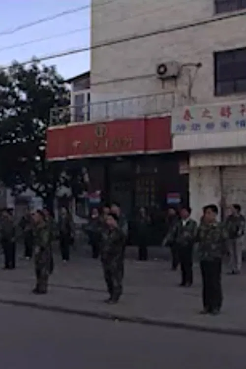 Public Security Bureau movie poster