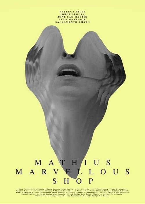 Mathius Marvellous Shop movie poster
