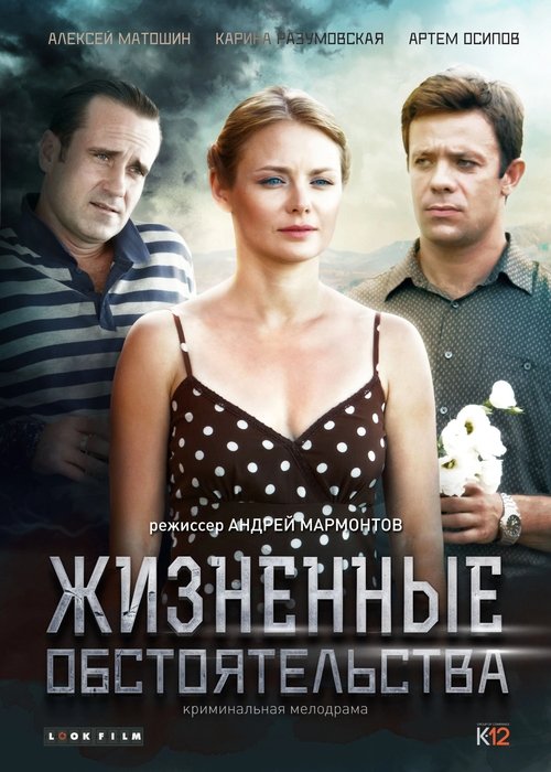 Life Circumstances tv show poster