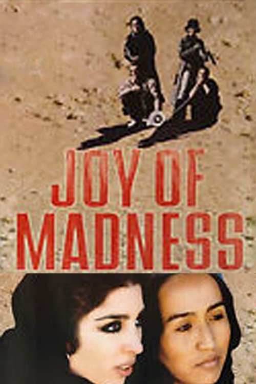 Joy of Madness movie poster