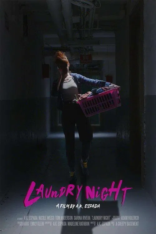 Poster do filme Laundry Night