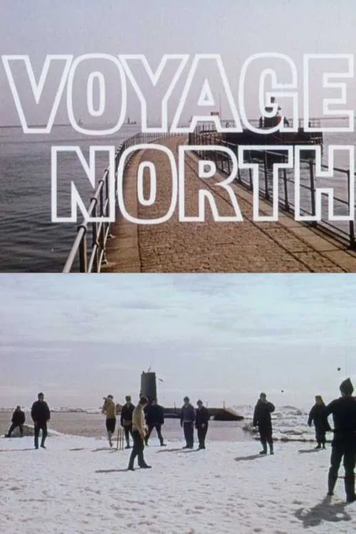 Poster do filme Voyage North