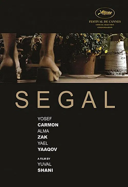 Segal movie poster