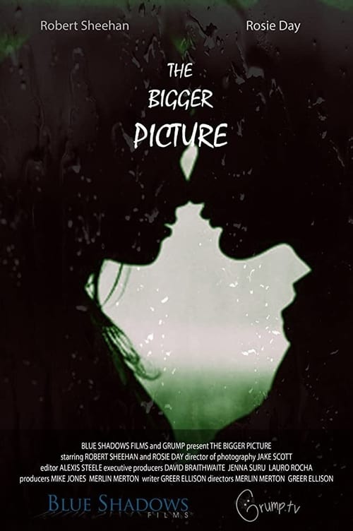 The Bigger Picture movie poster