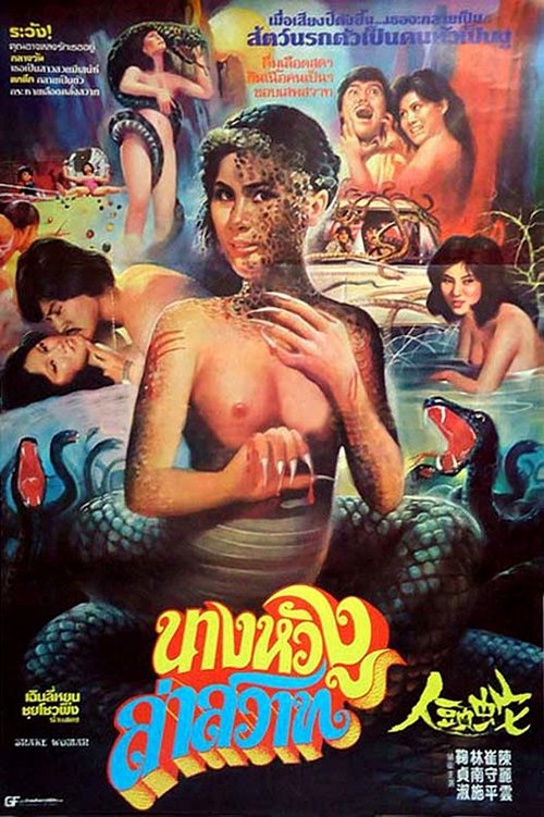Grudge of the Sleepwalking Woman movie poster