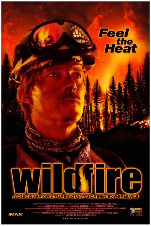 Wildfire: Feel the Heat movie poster
