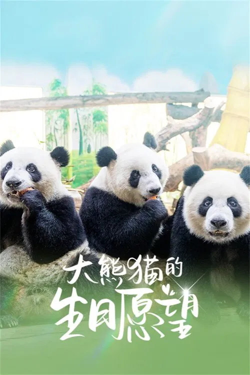 大熊猫的生日愿望 tv show poster