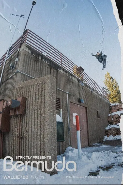 Bermuda movie poster