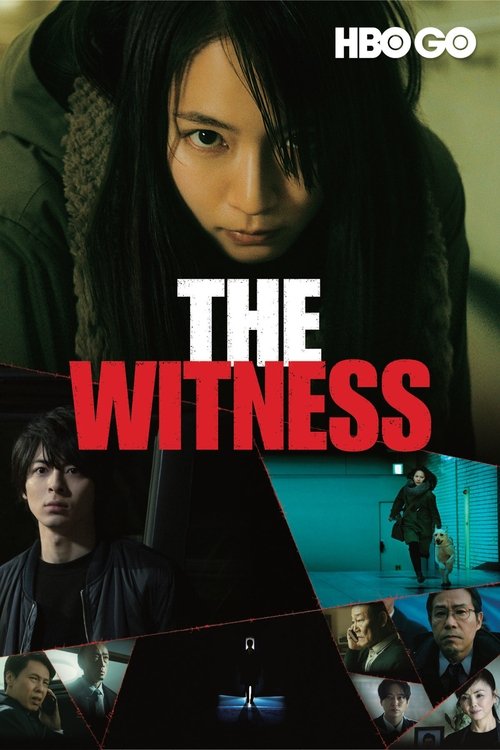 The Witness movie poster