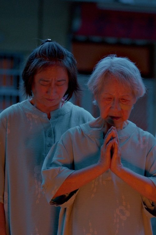 After the Cat movie poster