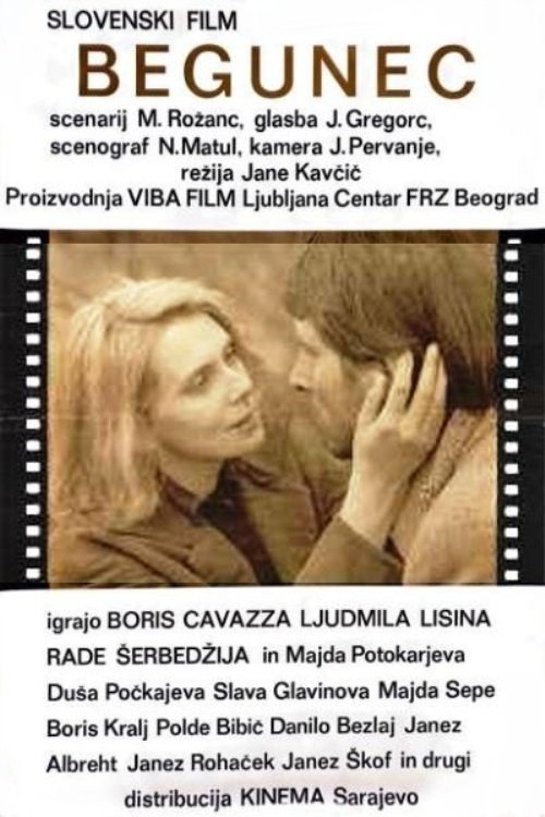 The Fugitive movie poster