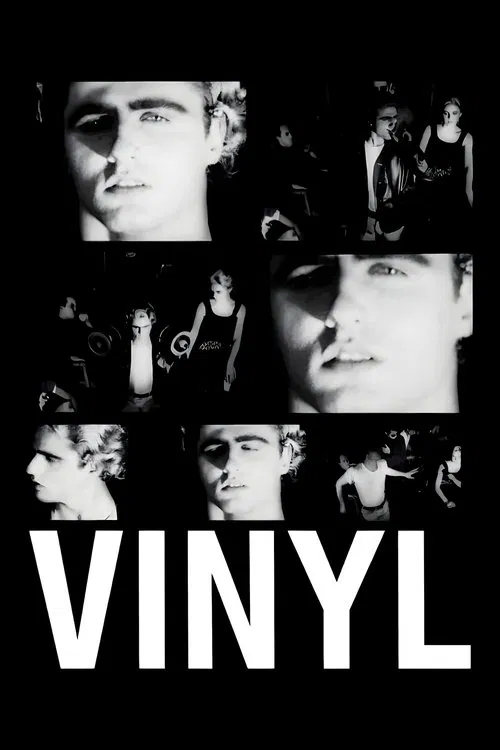 Vinyl movie poster