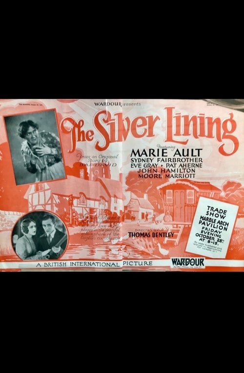 The Silver Lining movie poster