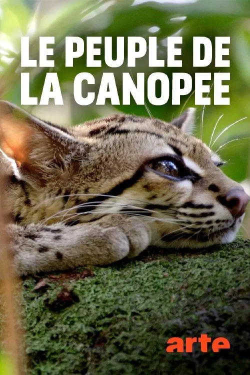 Leben im Kronendach tv show poster