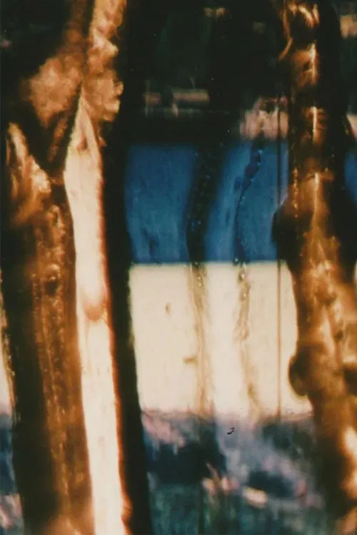 Picture Particles movie poster