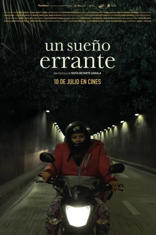 Un sueño errante movie poster