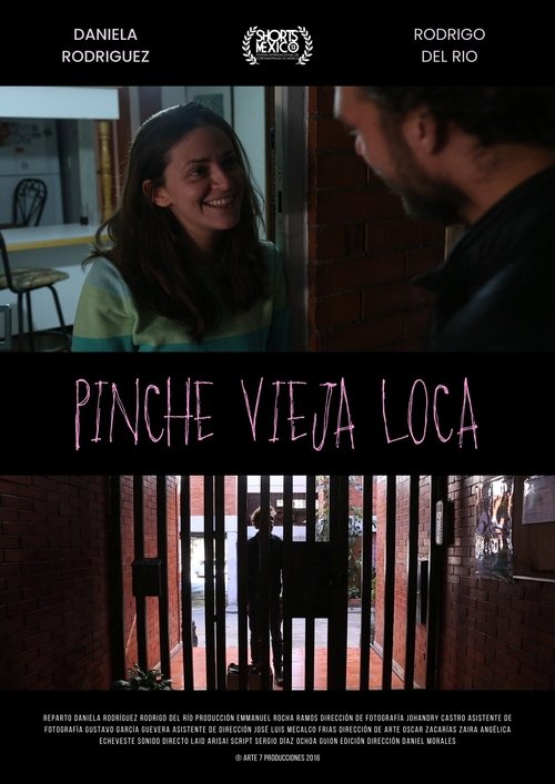 Poster do filme Pinche Vieja Loca