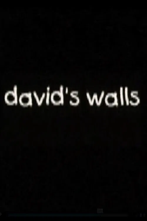 David's Walls movie poster