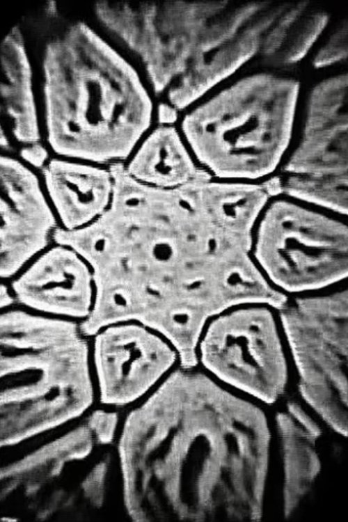 Poster do filme Video Feedback, ARP Drone