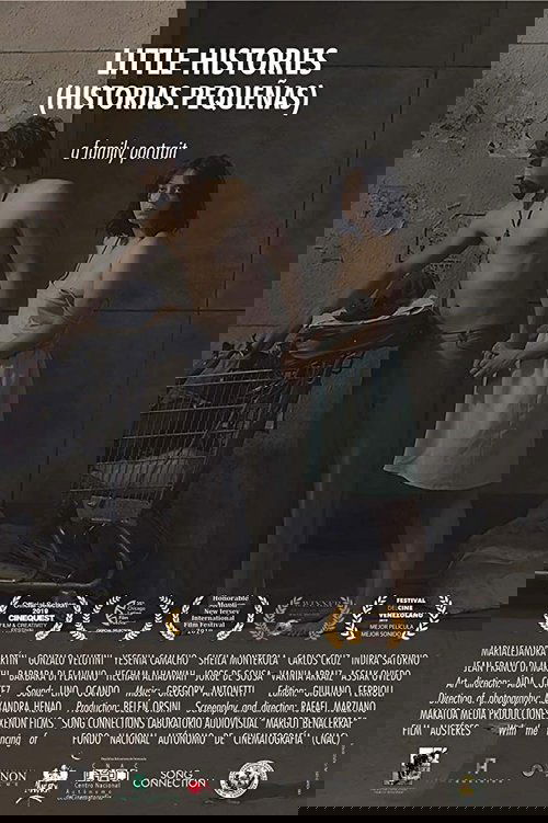 Little Histories movie poster