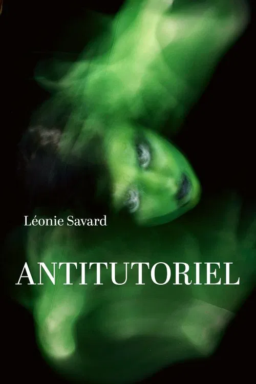 Poster do filme Antitutoriel