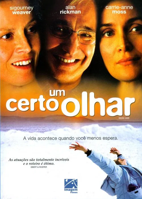 Poster do filme Um Certo Olhar