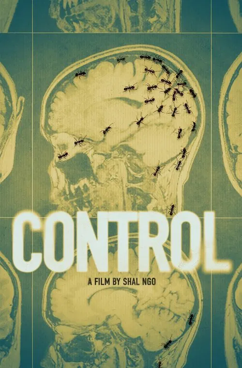 Control movie poster