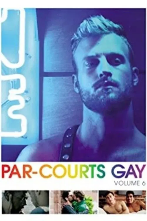 Par-courts Gay, Volume 6 movie poster