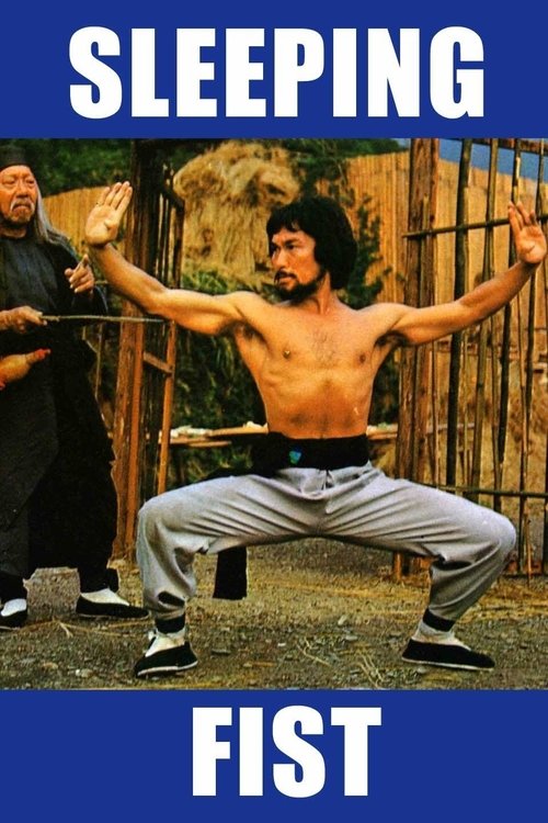 Sleeping Fist movie poster