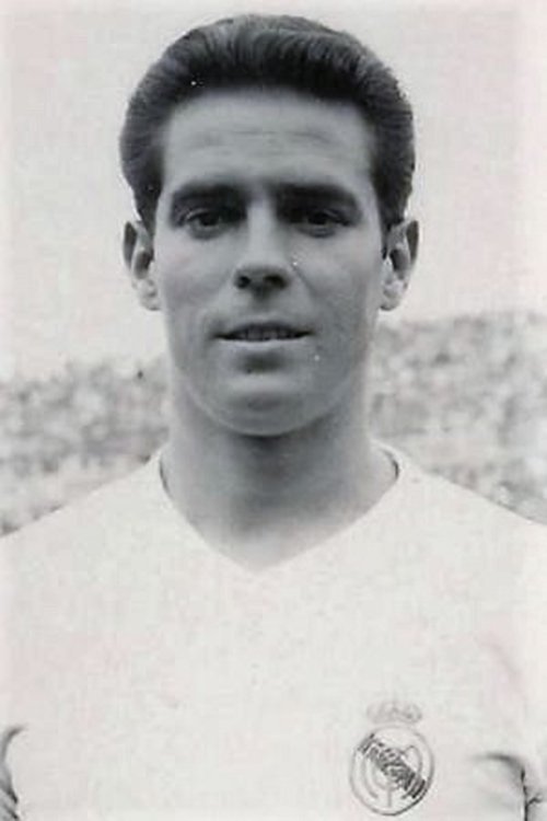José María Zárraga Martín profile picture