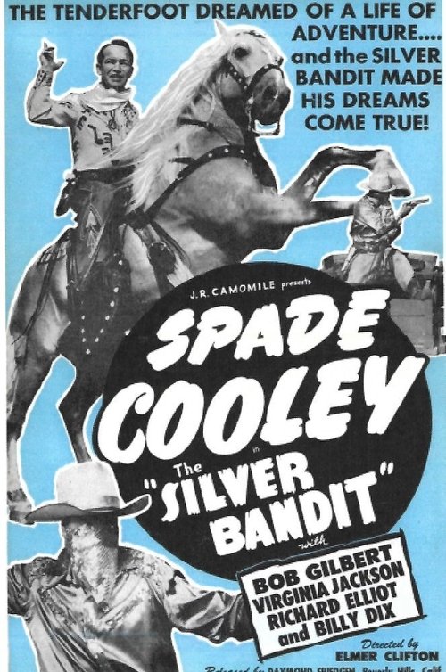 The Silver Bandit movie poster
