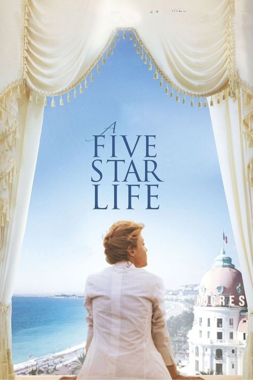 A Five Star Life movie poster
