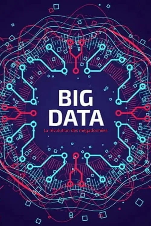Poster do filme Big Data - La révolution des mégadonnées
