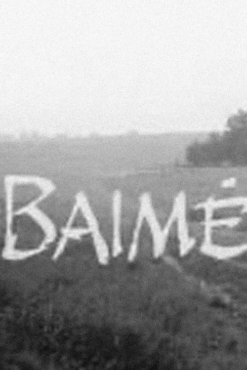 Baimė movie poster