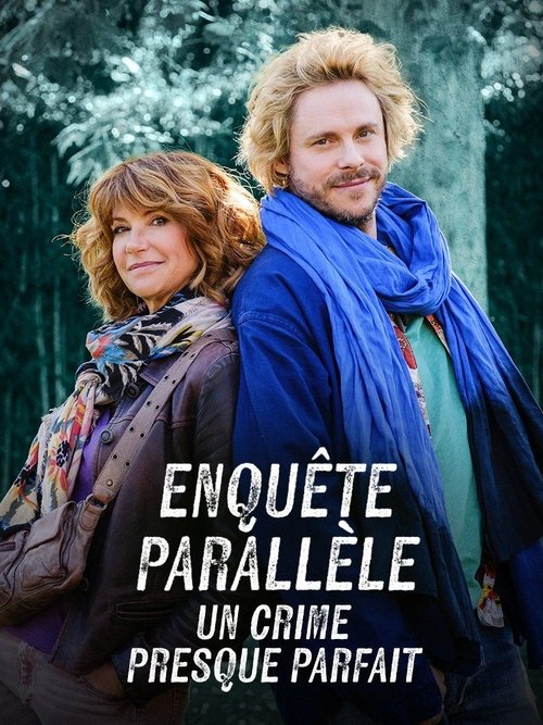 Enquête parallèle : Un crime presque parfait movie poster