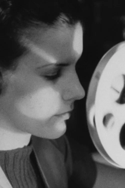 Highlights and Shadows movie poster