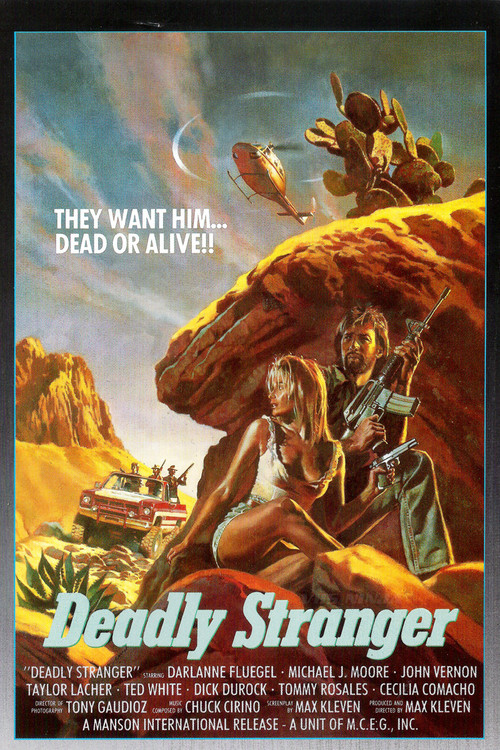 Deadly Stranger movie poster