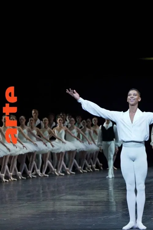 Être noir à l'Opéra movie poster