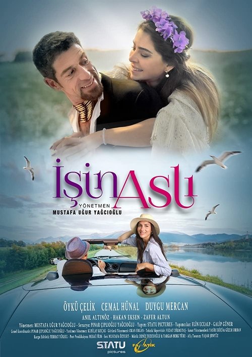 İşin Aslı movie poster