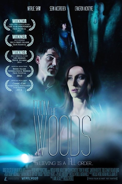 Poster do filme From The Woods