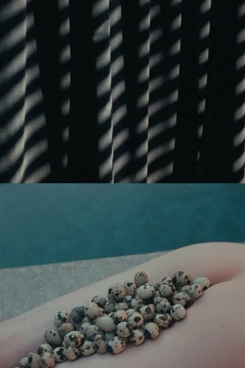 In Its Form Asleep movie poster