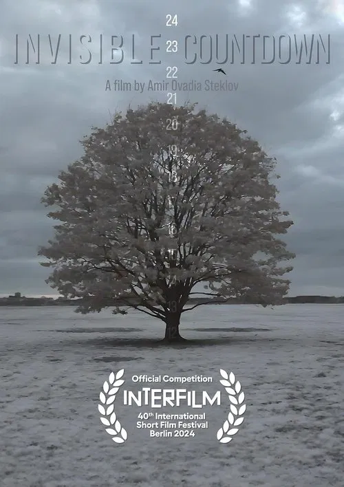 Invisible Countdown movie poster