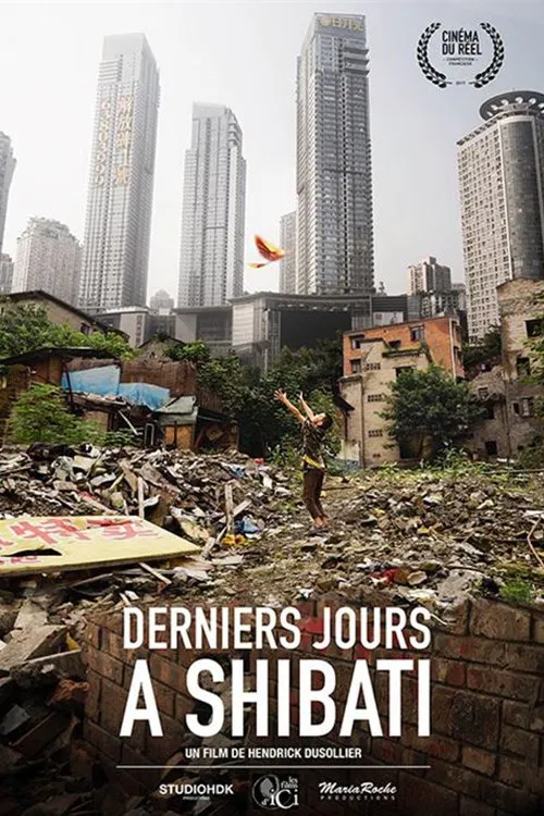 Last Days in Shibati movie poster