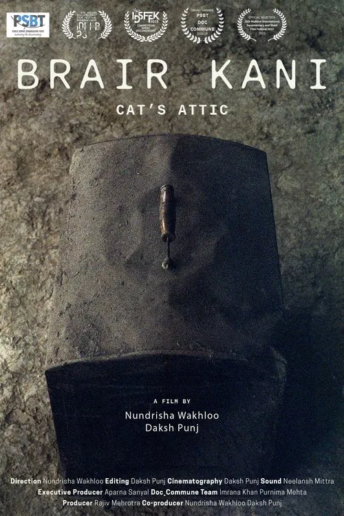 Cat's Attic movie poster