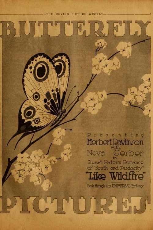 Like Wildfire movie poster