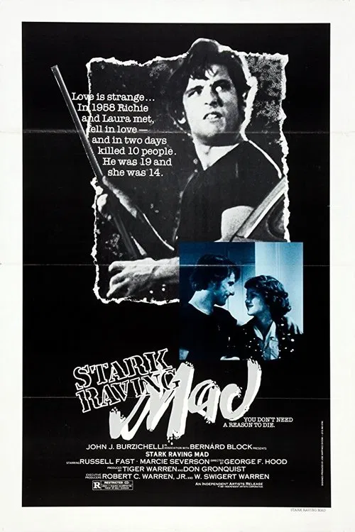 Stark Raving Mad movie poster