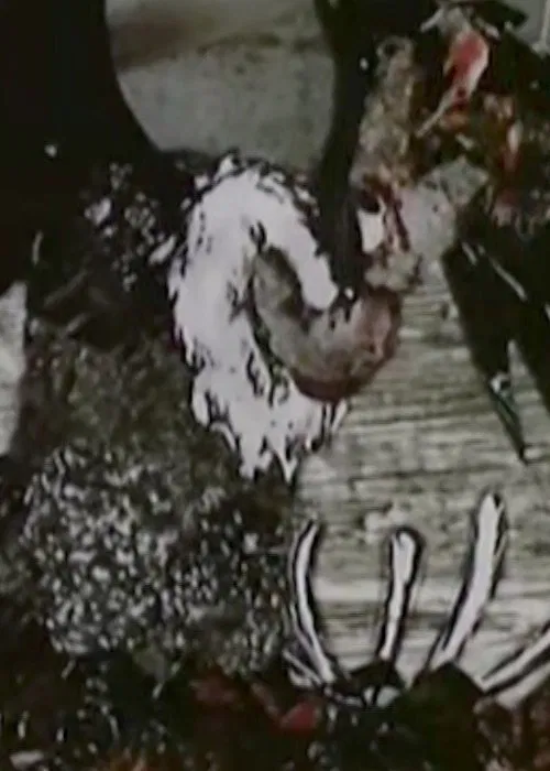 Czas sępa movie poster